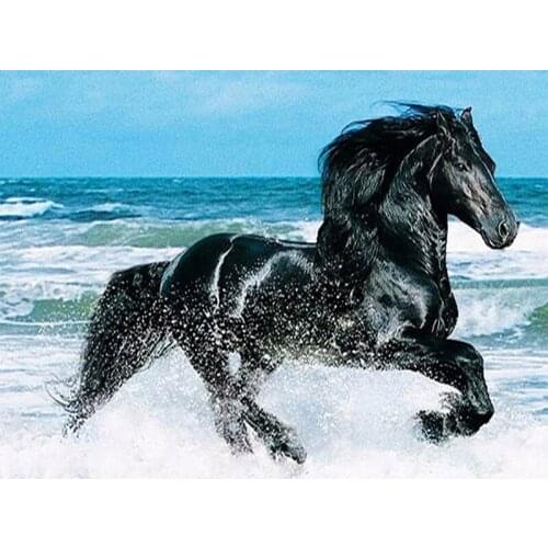 JMINE Div 5D Horse sea beach Full Diamond Painting cross stitch kits art High Quality Animal 3D paint by diamonds