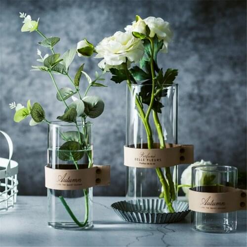 Nordic Glass Flower Vase Modern Tabletop Hydroponic Plant Vases Chic Leather Handle Water Cup Mug Home Decor Accessories