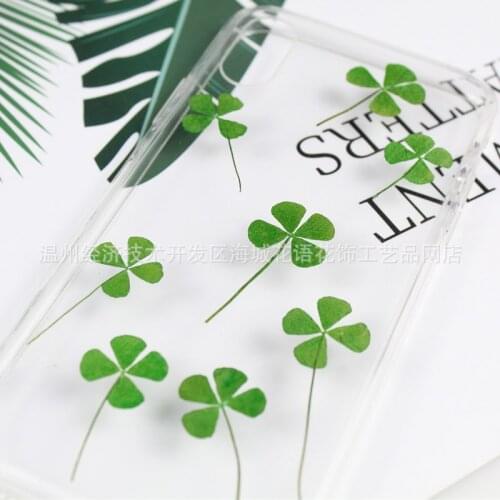 Four-leaf Clover Clover Dried Flower Embossed Real Flower Plant Specimen Epoxy Jewelry Diy