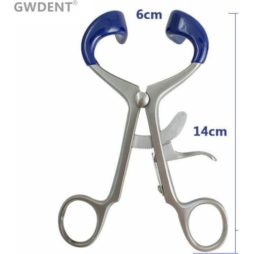 GWDENT Womens Clothing
