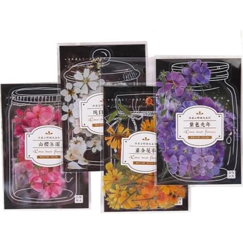 10Packs wholesale Sticker PVC Flower Daisy rose Plant Observation Stationery Cherry blossoms elegant botanical stickers110*95mm