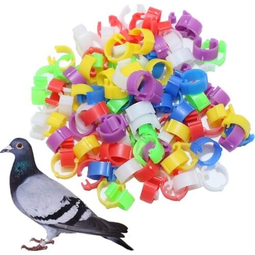 100 Pcs Identification Race Birds Plastic Opening Pigeon Foot Ring 8mm Pigeons Quail Parrot Feeding Logo Carry Tools