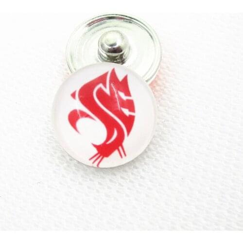 20pcs/lot Washington State University Snap Buttons for 18mm US Sports Teams Snap Bracelet&Bangles DIY Snap Jewelry Charms