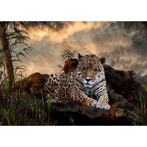 Diamond Painting Horse Dog Animal Tiger Square Diamond Round Diamond Decoration Customizable Wall Art Decoration Frameless