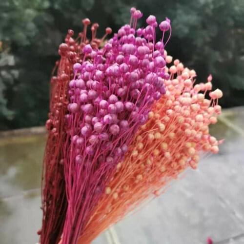 60g/40-45cm,Natural Dried Jumble-beads,Mini display Flower Beauty and the Beast Rose for Wedding Party Ramadan Home Decoration