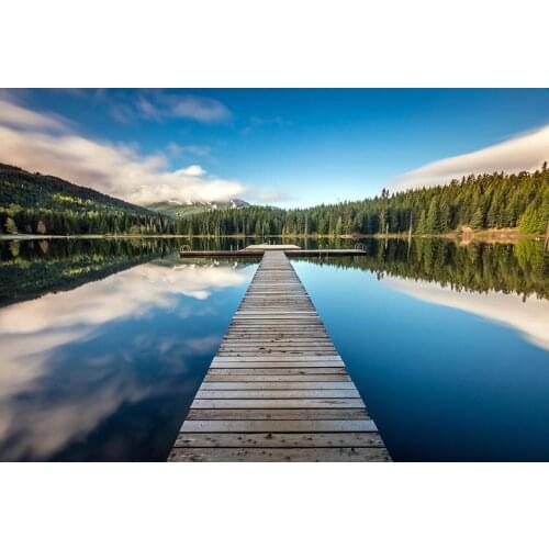 Epic lake forest photo background vinyl wall-paper wedding photo dress backdrop for photography studio props fotografia lv-2163