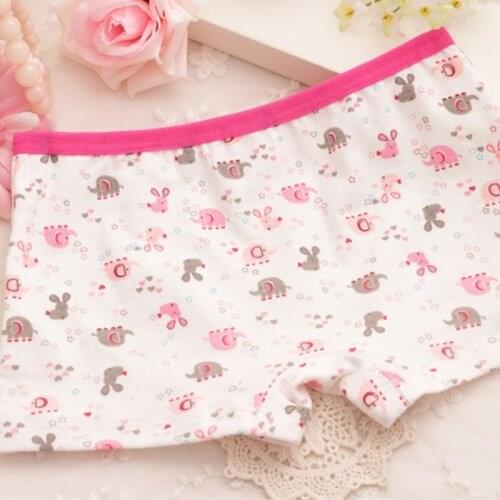 4Pcs/Lot Cotton Panties Girls Kids Short Briefs Children Underwear Child Cartoon Shorts Underpants Girl Panties