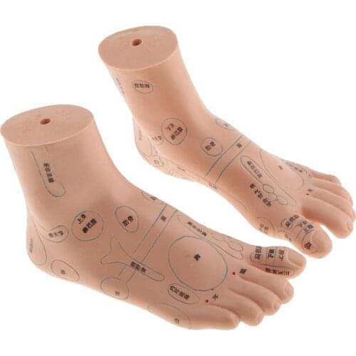 Pair Of PVC Foot Massager Reflexology Point Model Foot Model Teaching Supply