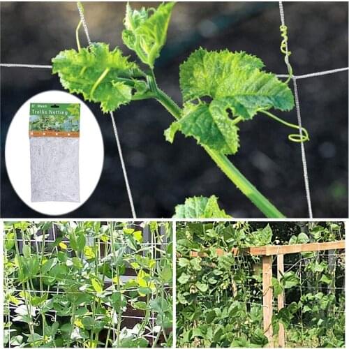 Mesh 10/20m Polyester Net Loofah Netting For Morning Glory Vine Flowers Garden Plants Climbing Net Cucumber Vine Grow Holder