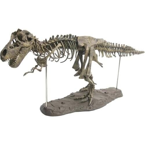 4D Large Dinosaur Assembled Dinosaur Bones Kids Educational Toy Tyrannosaurus Skeleton Animal Model Ornaments Action Toy Figures
