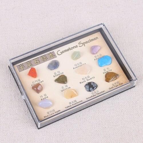 12pcs/set Specimen Natural Crystal Box Tumbled Stone Ore Specimen Mineral Ore English Teaching Materials Collection