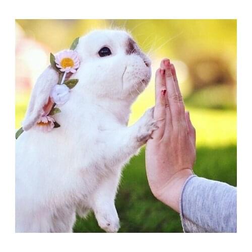 Paid the balance payment like add spokes or upgrade hub & spokes