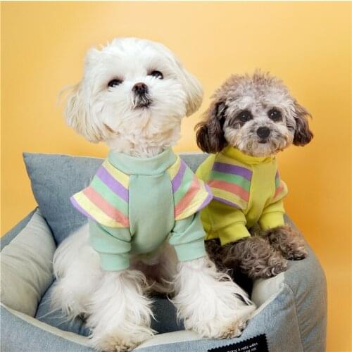 Dog Hoodies for Small Dogs Girl Rainbow Flying Sleeves Cute Dog Clothes Autumn Winter Pet Dog Underwear Warm Yorkie Clothes Pink