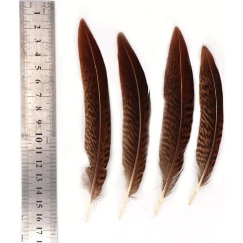 50pcs/lot beautiful Lady Amherst Pheasant Tail feathers 15-20cm/6-8inches carnival Christmas DIY plume
