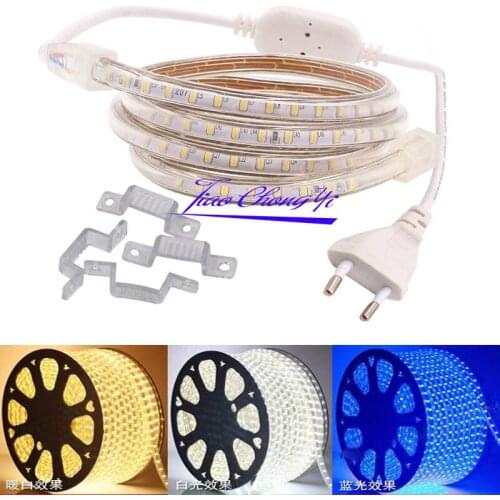 AC 220V Led strip light 3014 120LED/m waterproof white with EU plug 50M-100M