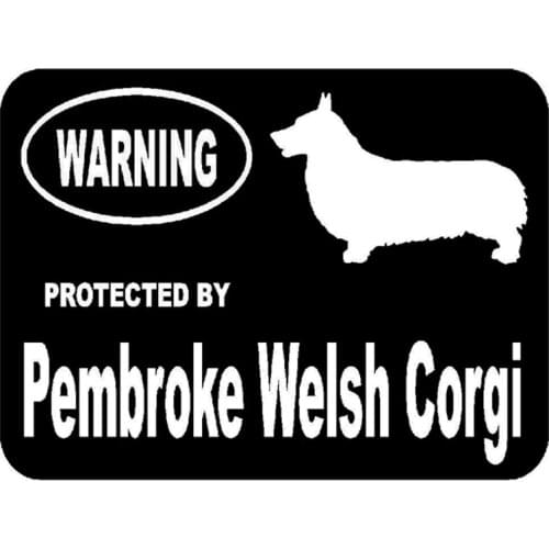 15cm*11.3cm Car Styling Protected By Pembroke Welsh Corgi Personality Fashion Car Stickers C5-1905