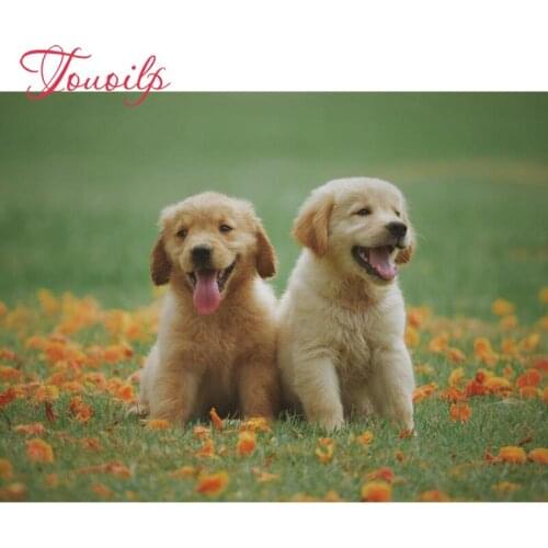 TOUOILP Full 5D Diy Daimond Painting "2 labrador pups" 3D Diamond Painting Rhinestones Diamant Painting Embroidery Scenery