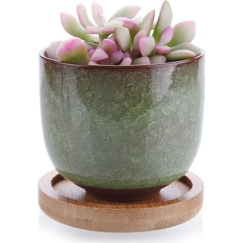 Ceramic Ice Crack Zisha Raised Serial Succulent Cactus Plant Pot Flower Pot Container Planter Light Green Bamboo Trays