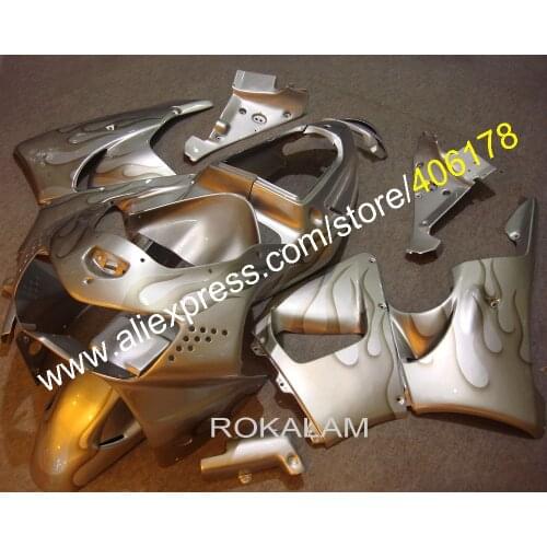 Flame Motorcycle Fairings For Honda CBR900RR 1998 1999 CBR919 900RR 919 98 99 CBR 900RR 1998-1999 ABS Fairing Kit