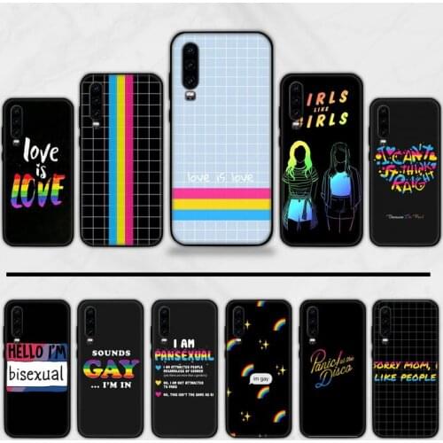 Gay Lesbian LGBT pansexual PRIDE Phone Case For Huawei P9 P10 P20 P30 Pro Lite smart Mate 10 Lite 20 Y5 Y6 Y7 2018 2019