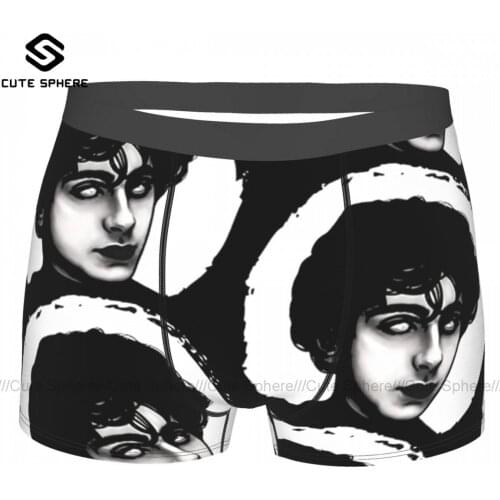 Timothee Chalamet Underwear Boys Sublimation Classic Trunk Sublimation Trenky Polyester Boxer Brief