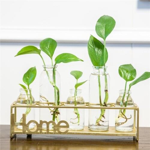 Vase glass transparent green pineapple water culture plant Nordic home creative decoration