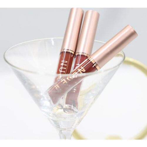 16Pcs/Set 16g Fashion Lip Glaze Moist Long Lasting Fadeless Women Lip Glaze Kit Matte Color Makeup for Holiday Gift