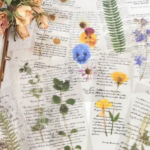 6pcs/bag Vintage flower Leaf English Collage PET sticker package DIY diary decoration sticker album scrapbooking