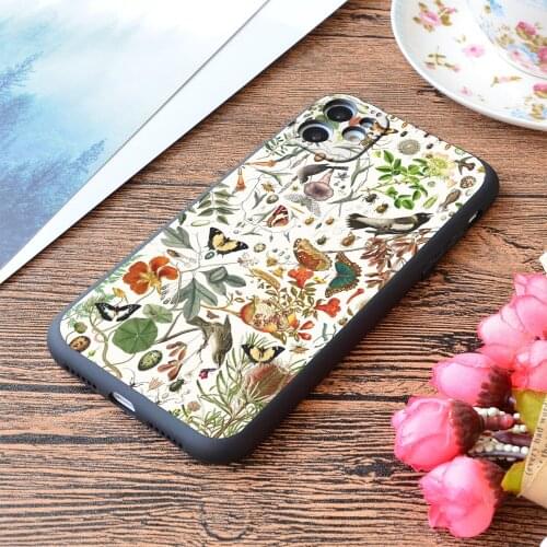 For iPhone Biology 101 Print Soft Matt Apple iPhone Case