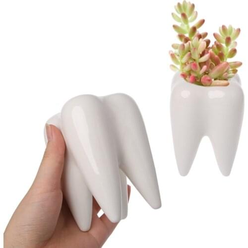 Tooth Shape Ceramic Flower Pot Green Succulent Planter Cactus Container Decor GXMA