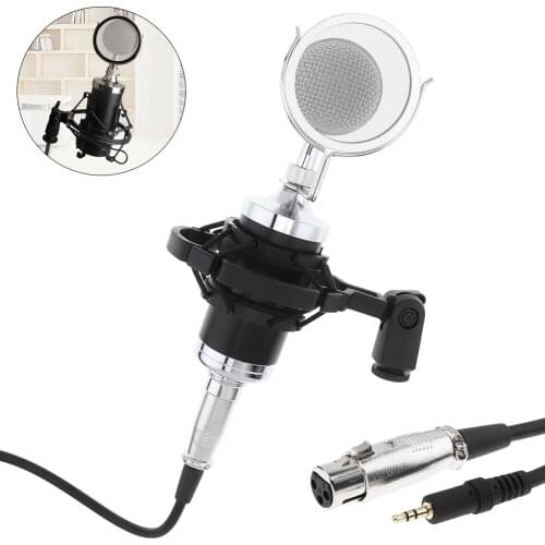 Profession CY-F2000 Condenser Sound Recording Microphone With Shock Mount For Radio Braodcast / Singing Recording / KTV