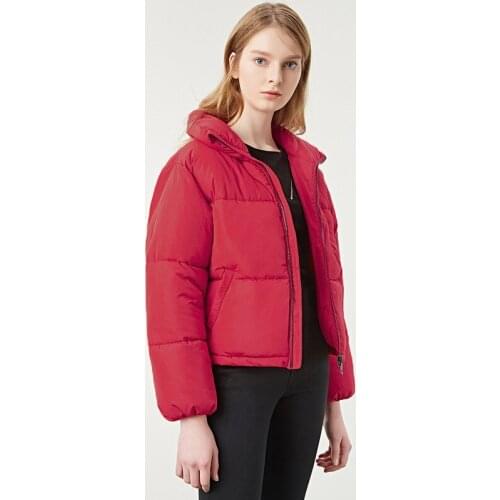 2019 Limited Cotton Polyester Long Zipper Full Autumn New Korean Easy Bread Clothes Stand Lead Keep Warm Woman Generation Hair