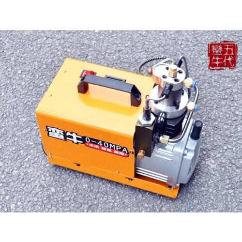 40Mpa High Pressure Air Pump Electric Mini Air Compressor Water Cooled Air Pump With Oil-water Separator 220V