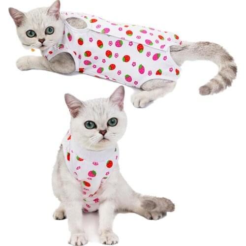 Pet kitten clothing clothing four legs pants new autumn winter pet cat neutering clothing physiological pants clothing