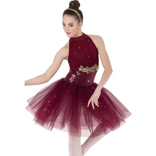 Adult Ballet Dance Dress Skirt Costumes Lady Ballet Tutu Dress Sequins Gold Mesh Elegant Dress Stage Performance Costumes D-0463