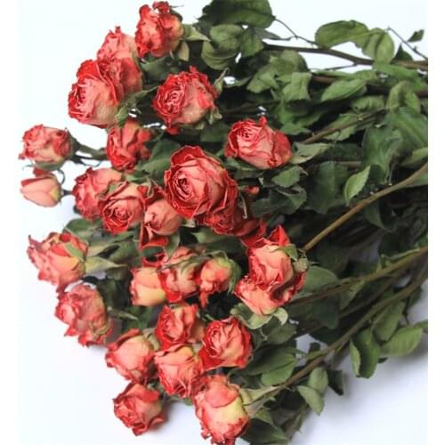 15pcs Dark Pink Dried Flowers Rose Romantic Bubble Small Rose Flower Dry Bouquet Home Furnishing Decorate