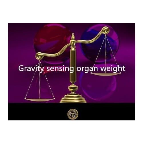 Real life room escape game weight prop Takagism game put the right weight on scale sensor to open the door one sensor scale