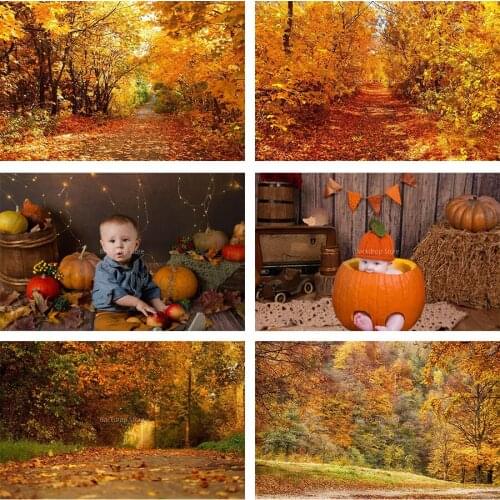 Avezano Autumn Pumpkin Backdrop Halloween Fallen Leaves Newborn Photography Background Studio Baby Shower Decor Props Photophone