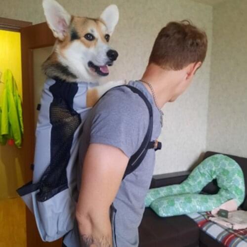 Breathable Puppy Big Dog Carrier Backpack Outdoor Walking Riding Pet Carring bags for Medium Large Dogs mascotas Accessories