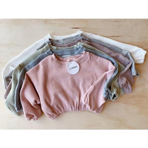 2PCS Long Sleeve Baby Girls Boys Clothes Set Cotton Casual Toddler Infant Tops+Pants Outfits Suit New Autumn Baby Clothes