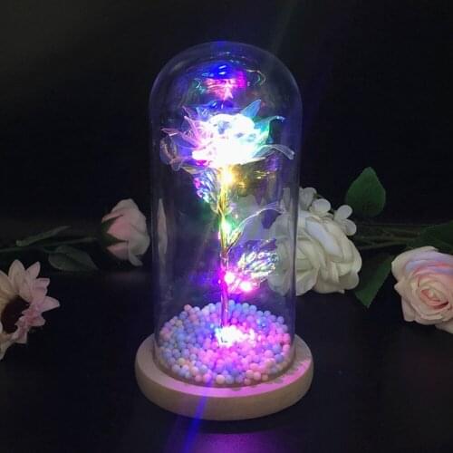ZIHADA Festive Lighting