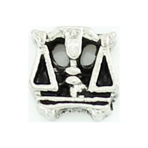 10pcs/lot Wholesale Hot Sale Cute Balance living glass floating memory locket charms jewelry