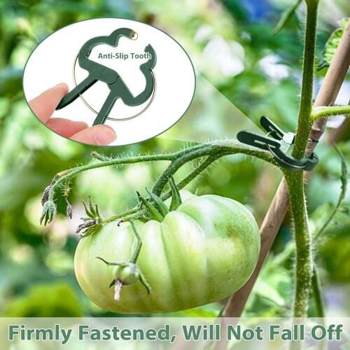 10Pcs Fastener Greenhouse Bracket Pole Fixed Clamp Plants Flower Seeds Support Plant Grafting Stakes Connector Clip Home Garden