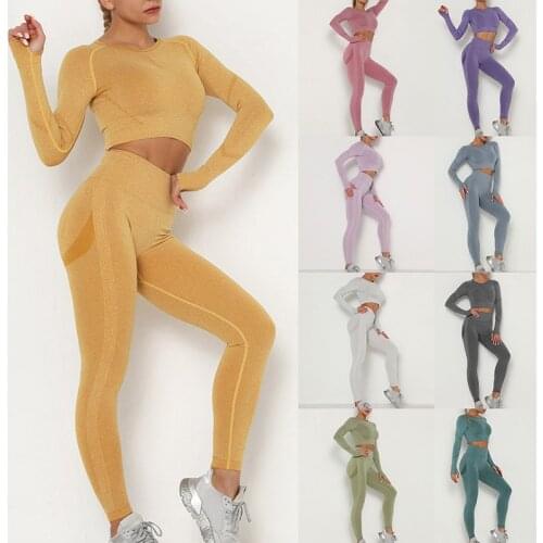 New Women Seamless Sexy Sports Suits Yoga Set Fitness Clothes High Waist GYM Leggings Long Sleeve Tracksuit Active Wear
