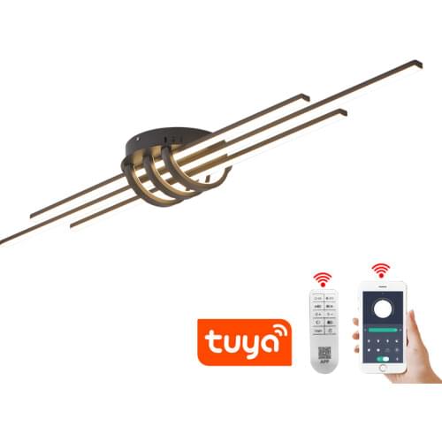 Modern Led Ceiling Lights For Bedroom Corridor Foyer Show Window Living Room Lighting Fixtures Matte Black/White Painted