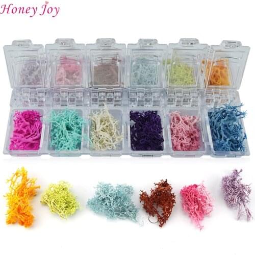 12colors/box The Beauty of Nature 3D Real Seaweed Dry Flowers + Rhinestone Storage Box Nail Art Decoration UV Gel Polish Decals