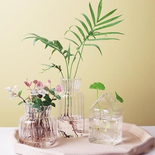 Small Glass Vases Home Decor Room Decoration Flower Vases for Decor Wedding Decoration Hydroponic Flower Glass Container