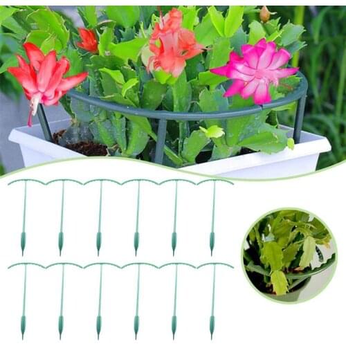 Green Half Round Plant Cage Holder Plants Support Stand Plant Climbing Frame For Morning Glory Crab Cactus Trellis Bracket