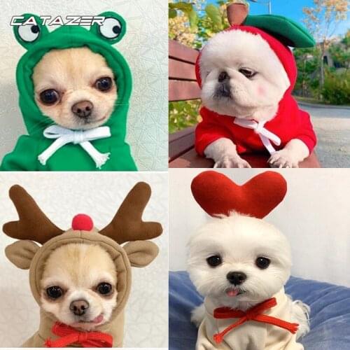 Winter Dog Cat Hoodie Cute Fruit Pet Costume for Small Dogs Cats Puppy Yorkies Poodle Sweatshirt Dog Clothes Mascotas Costumes
