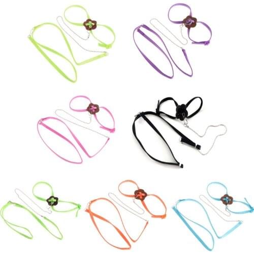 Pet Parrot Bird Harness Leash Outdoor Adjustable Training Rope Anti Flying Traction Strap Portable Band